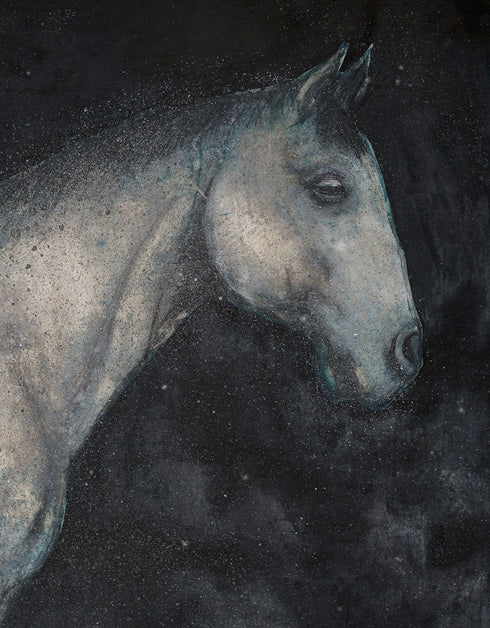 Horse | Limited Edition Prints